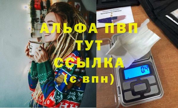 прущие грибы Корсаков