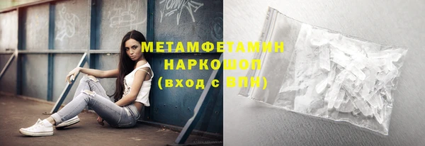 прущие грибы Корсаков