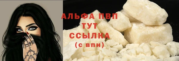 прущие грибы Корсаков