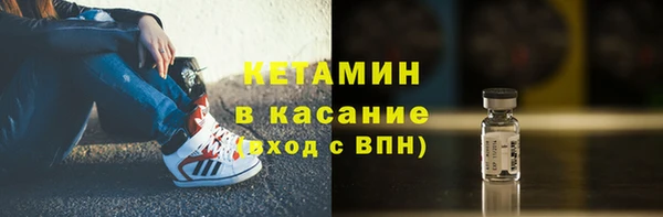 прущие грибы Корсаков