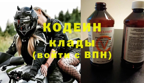 прущие грибы Корсаков