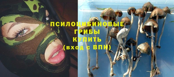 соль ск Костерёво