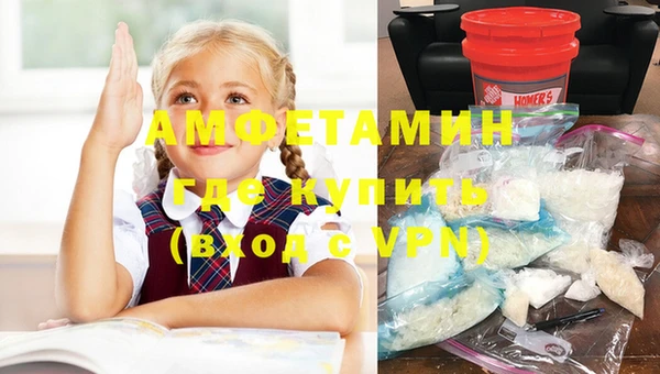 прущие грибы Корсаков