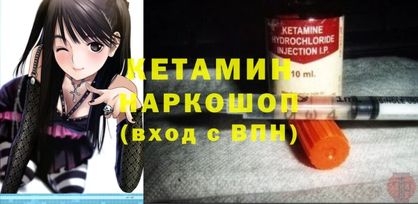 прущие грибы Корсаков