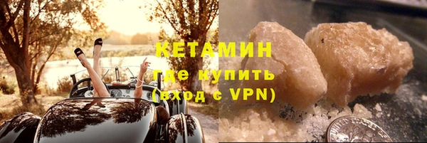 прущие грибы Корсаков