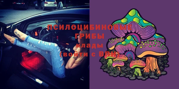 соль ск Костерёво
