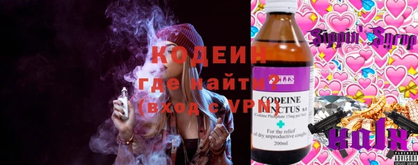 прущие грибы Корсаков