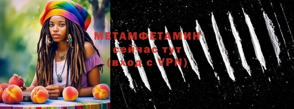 прущие грибы Корсаков