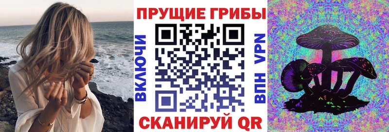 Галлюциногенные грибы Psilocybine cubensis  купить наркотик  Темников 