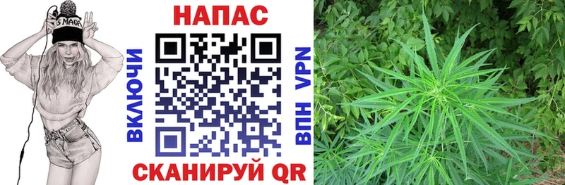 где купить наркоту  нарко площадка какой сайт  kraken зеркало  МАРИХУАНА тримм  Темников 